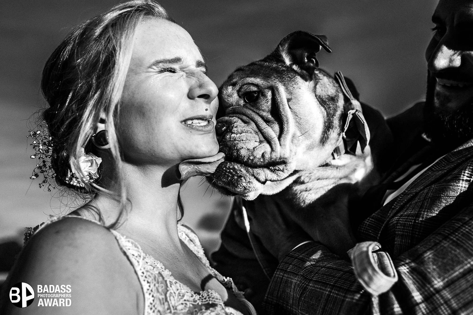 Braut wird von ihrer Bulldogge durchs Gesicht geleckt - Gewinnerbild Badass Award