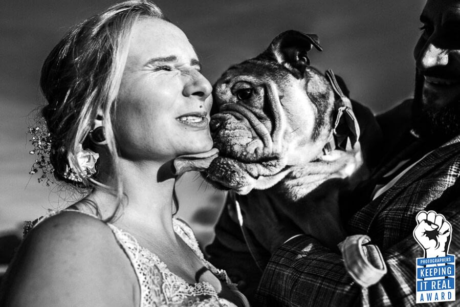 Braut wird von ihrer Bulldogge durchs Gesicht geleckt - Gewinnerbild Photographers keeping it real Award