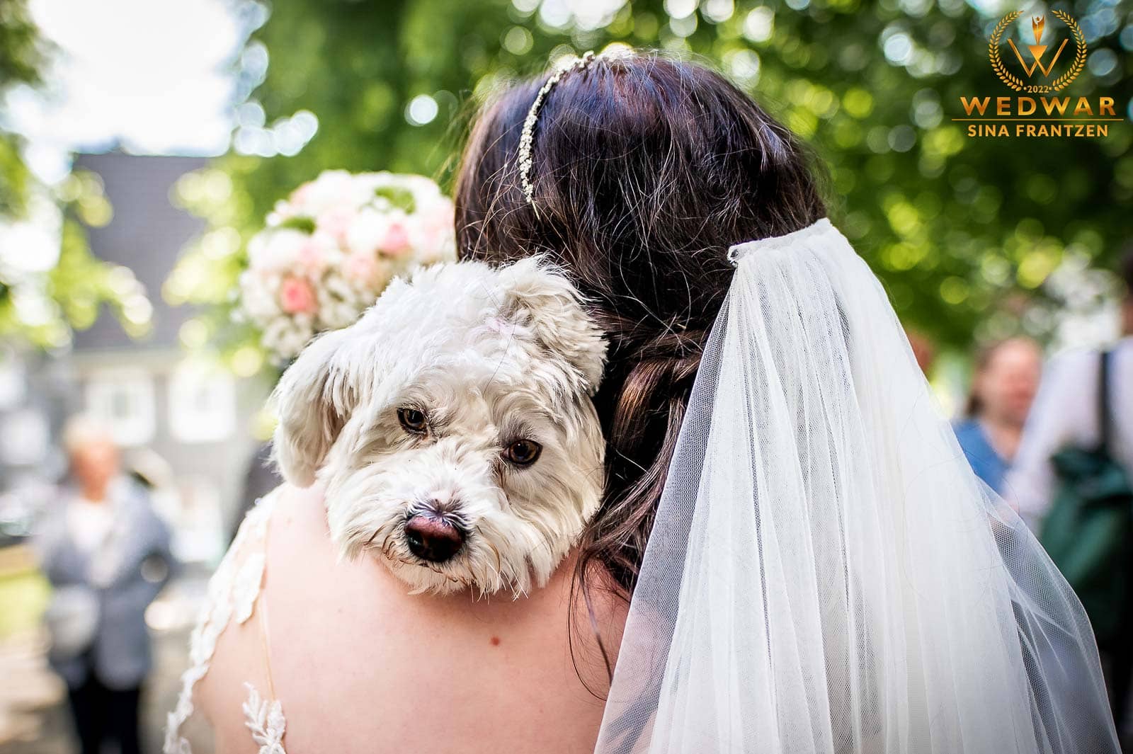 Tierische Gratulation bei einer Hochzeit. Hochzeitsfotografin Sina Frantzen bildsprache. Gewinnerbild Wedwar Awards