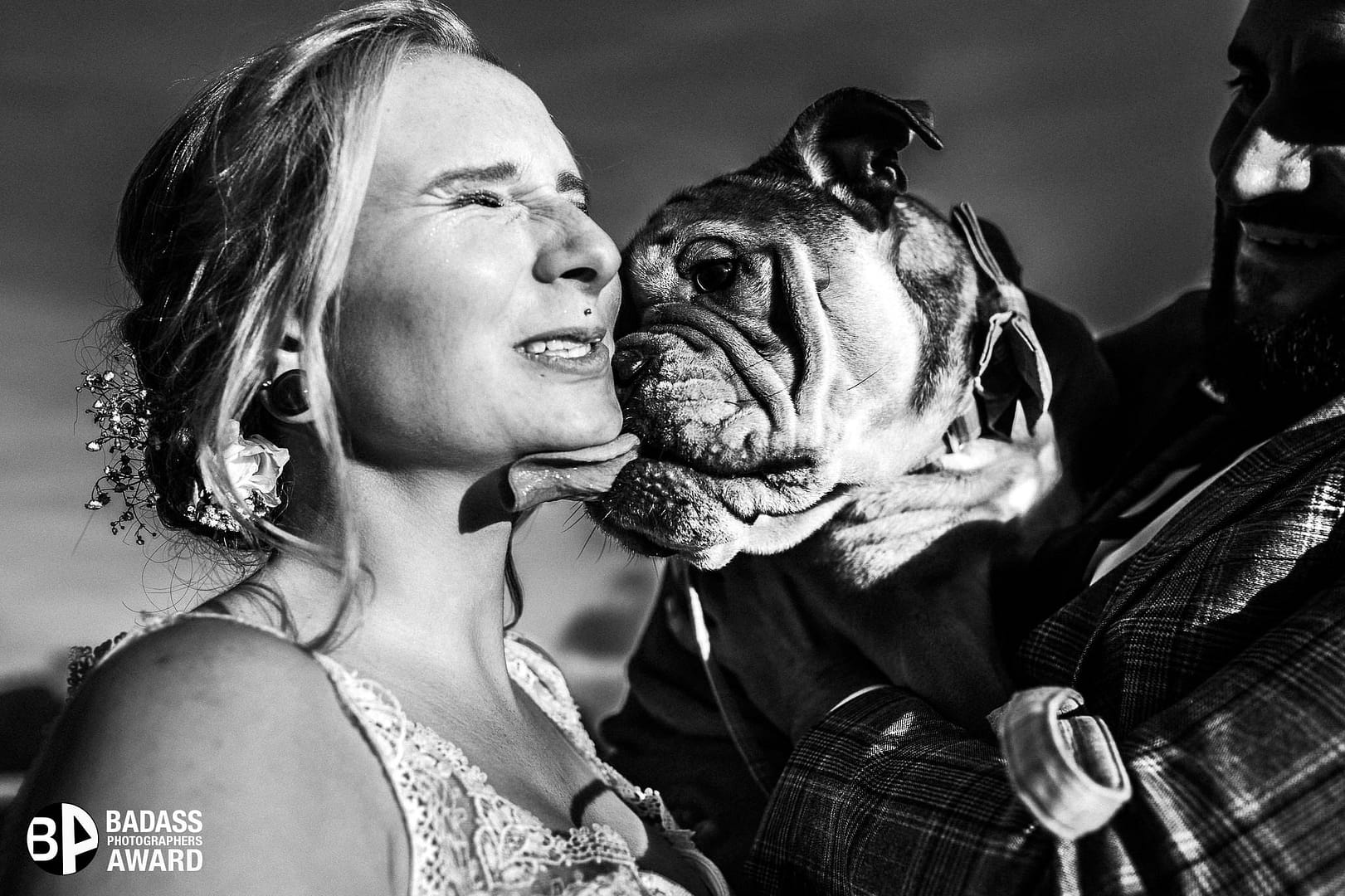 Braut wird von ihrer Bulldogge durchs Gesicht geleckt - Gewinnerbild Badass Award